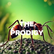 DFM The Prodigy